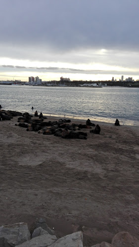 Opinii despre Georgia Resto Bar în Mar del Plata - Gastronomía y hostelería