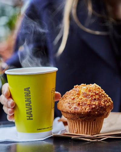 Havanna Centro - Gastronomía y hostelería