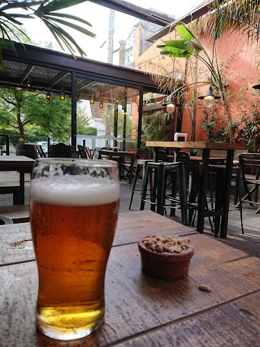 Antares MDQ - Olavarría - Mar del Plata