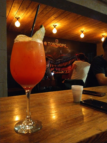 Comentarii opinii despre Tony Hops ok