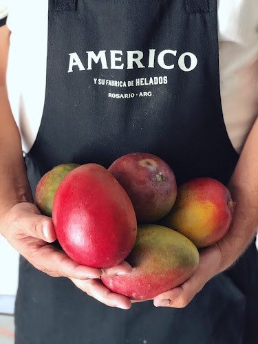 Américo Helados PICHINCHA - Gastronomía y hostelería
