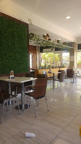 Yo Heladerías - Gastronomía y hostelería