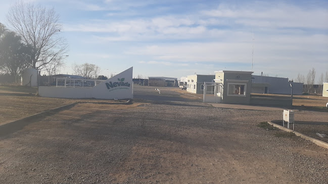 Comentarii opinii despre Nevada Argentina - Productos Saludables