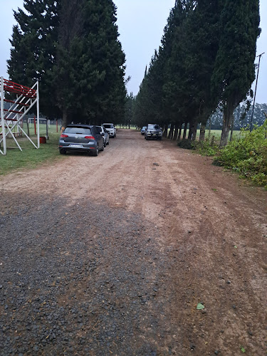 Comentarii opinii despre Fútbol San Nicolas