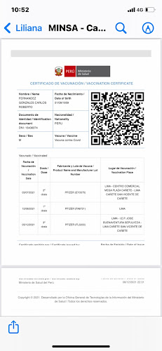 San Luis de Cañete 15720, Perú