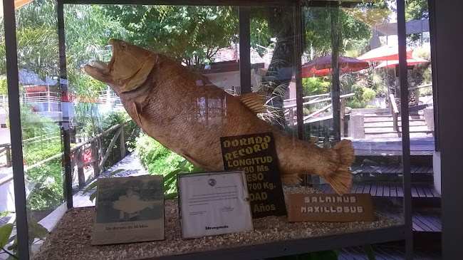 Comentarii opinii despre El Mirador del Paraná - Parilla Restaurant