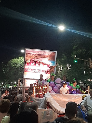 Av. Hipólito Yrigoyen 71, M5600 San Rafael, Mendoza