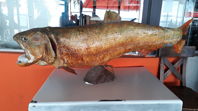 El Mirador del Paraná - Parilla Restaurant - Gastronomía y hostelería