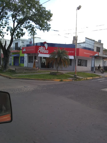 Comentarii opinii despre Alta Cresta