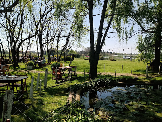 Comentarii opinii despre Pampa Simplemente Campo