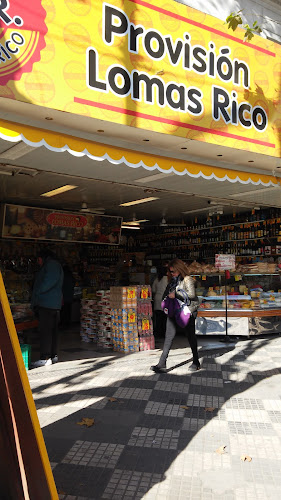 PROVISIÓN LOMAS RICO