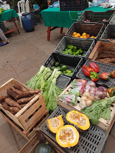 Feria Franca posadas - Posadas
