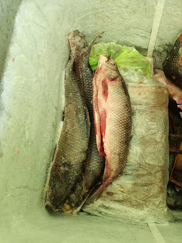 Pescaderia Carmen - Gastronomía y hostelería