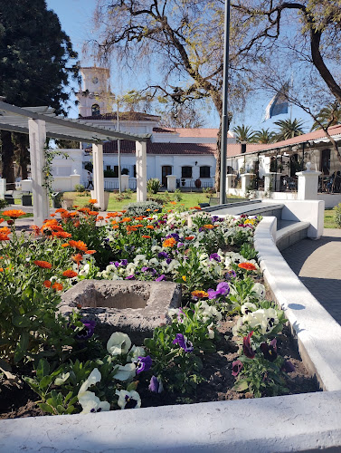 Comentarii opinii despre Café de la Patria