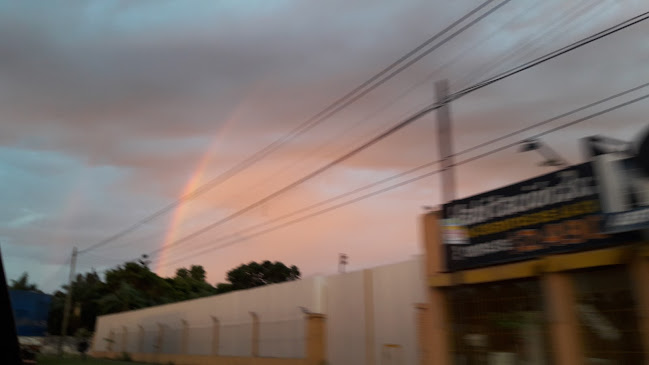 Comentarii opinii despre PiúBello Pollos