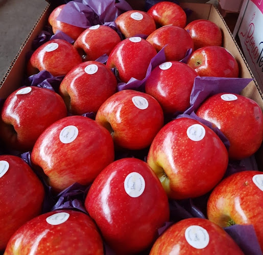 Opinii despre PRIMERA CALIDAD DISTRIBUIDORA MAYORISTA DE FRUTAS Y VERDURAS în Rosario - Gastronomía y hostelería