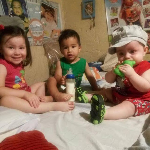 Comentarii opinii despre PanComido