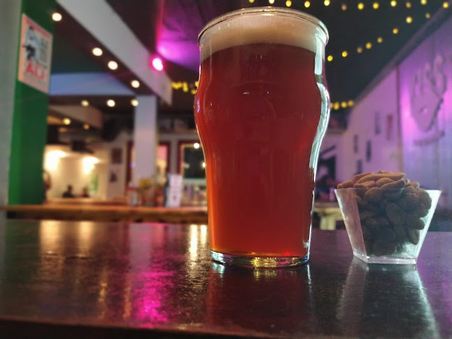 Av. Leandro Niceforo Alem 1214, B8000 Bahía Blanca, Provincia de Buenos Aires