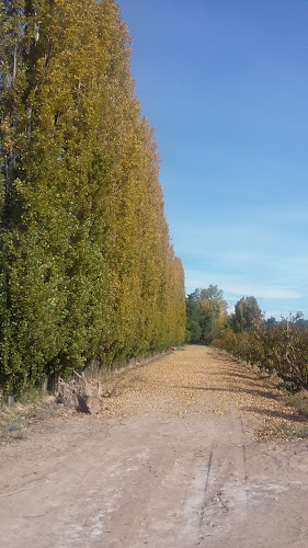 San Martín, Mendoza