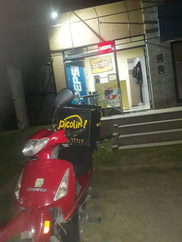 Comentarii opinii despre Picolino express