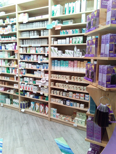 L'Orto Biologico Di F.Angrisani & C. S.A.S. - Gastronomía y hostelería