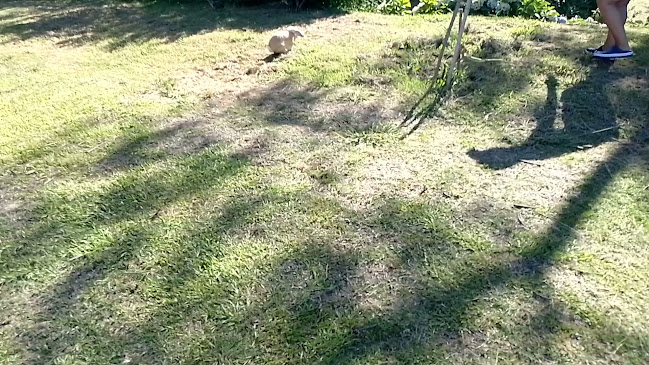 Tigre, Provincia de Buenos Aires