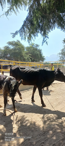 Opinii despre La Cria în Mar del Plata - Gastronomía y hostelería