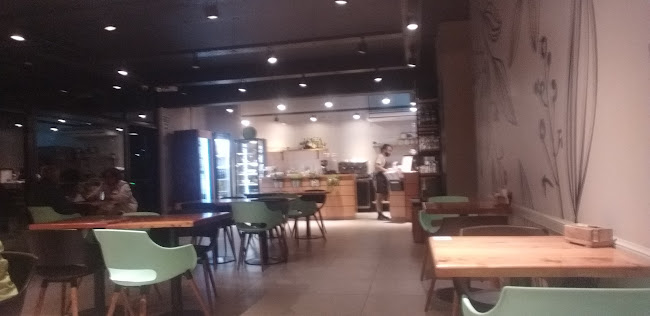 Comentarii opinii despre Damiana