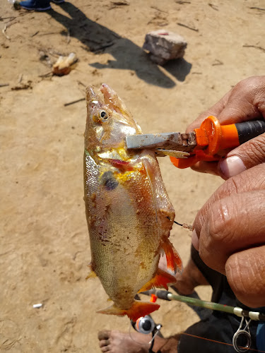 LA HERRADURA POINT BEACH - Gastronomía y hostelería
