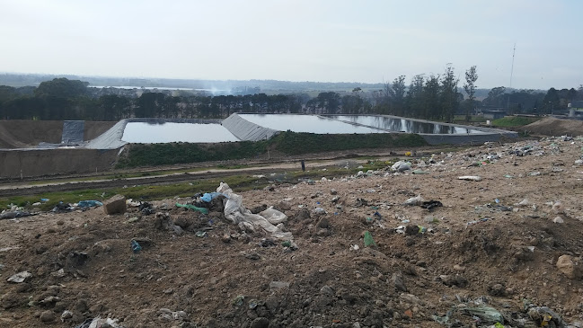 Opinii despre Mercado lo de Sandra + Papelera Adriel în Mar del Plata - Gastronomía y hostelería