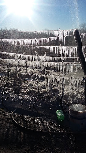 Comentarii opinii despre Finca La Promesa