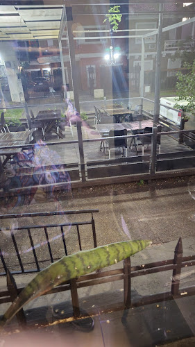 Lola Valentina - Paraná