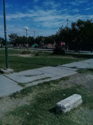 Opinii despre El Viejo Carreton în San Juan - Gastronomía y hostelería