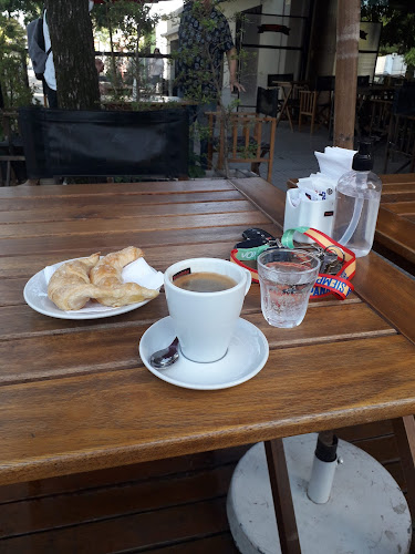 Comentarii opinii despre Bonafide