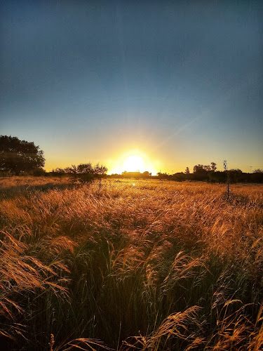 Comentarii opinii despre Pampa Simplemente Campo