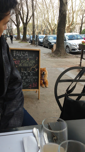 Calle 3 & Av. 51, La Plata, Provincia de Buenos Aires