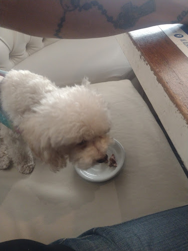 Opinii despre Don Tomás în Bahía Blanca - Gastronomía y hostelería