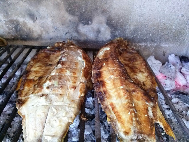 Pescadería y Marisquería Las Malvinas - Salta
