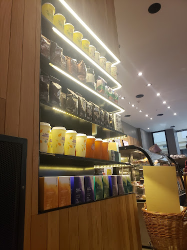 Juan Julián Lastra 2400, Q8300 Neuquén