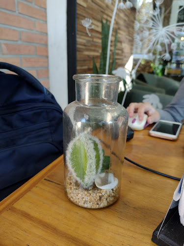 Bartolomeo-Coffee Resto Bar - Gastronomía y hostelería