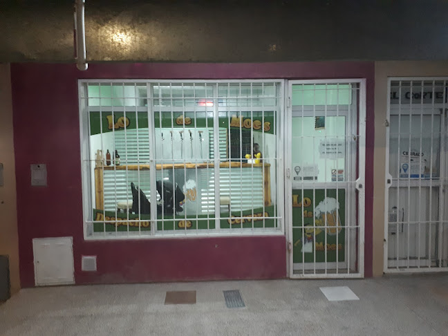 Cerveceria "lo de moe's"