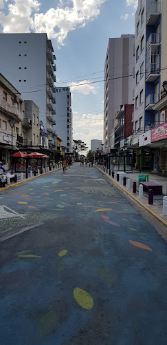 C. 83, Villa Díaz Vélez 220, B7630 Necochea, Provincia de Buenos Aires