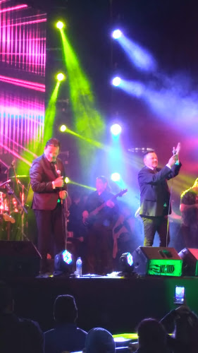 Cerveceria El Patio Pool