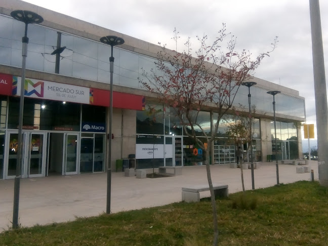 Mercado Sur Municipal - Gastronomía y hostelería