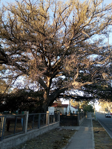 Panificadora San Francisco - La Rioja