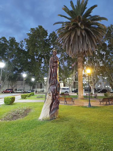 BONAFIDE - San Rafael