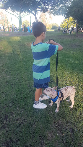 Comentarii opinii despre Riomío