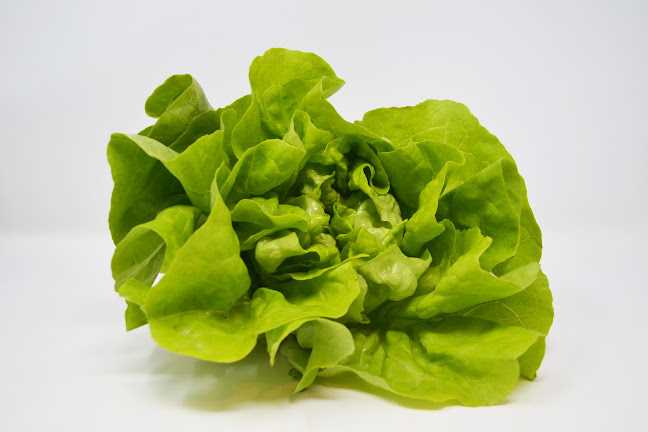 Av. Dr. Arturo Frondizi 1931, 1629 Fatima, Provincia de Buenos Aires