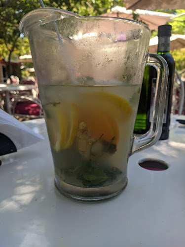 Lomitos El Bosque - Córdoba