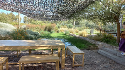 Pan y Oliva de Zuelo.